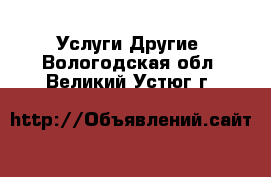 Услуги Другие. Вологодская обл.,Великий Устюг г.